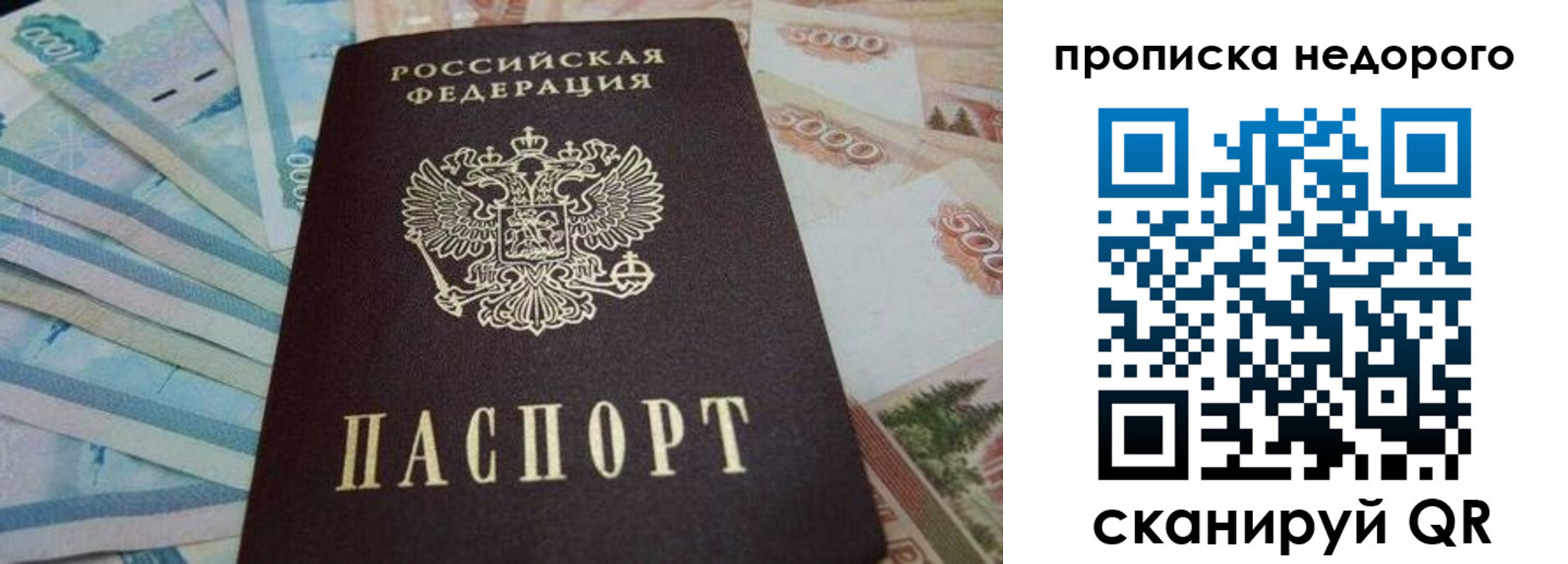 временная регистрация поиск в Свободном